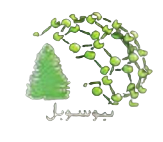 فناور نانو آسه راتا